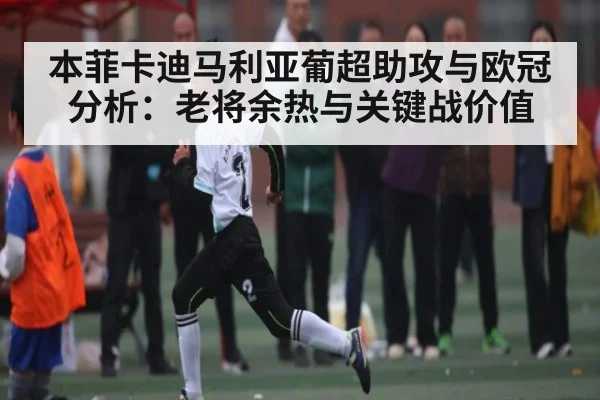 本菲卡迪马利亚葡超助攻与欧冠分析：老将余热与关键战价值 | kaiyun