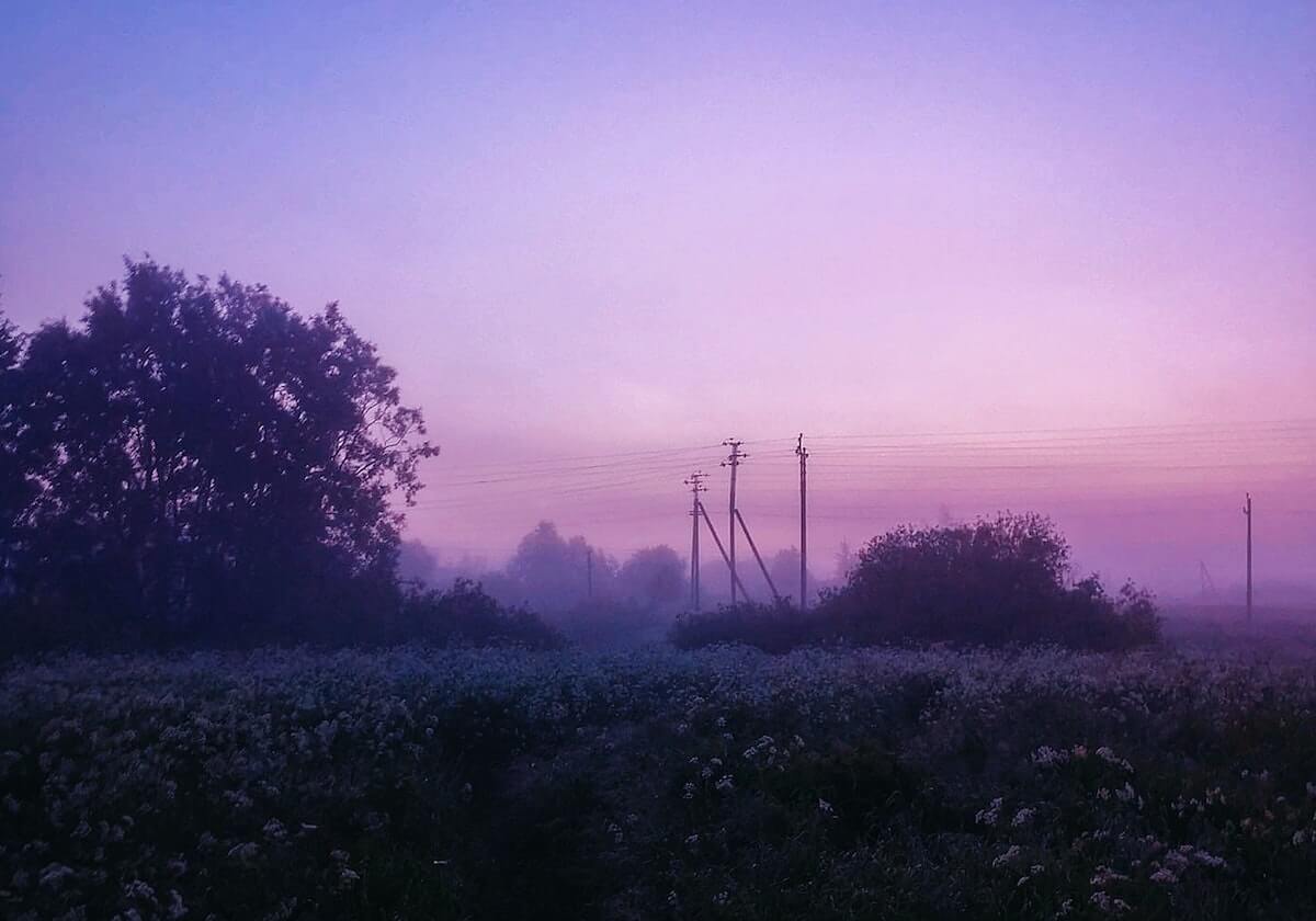 开云-怕引公愤偷偷给特朗普捐款 NBA老板如何暗度陈仓？